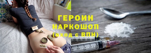 индика Инсар