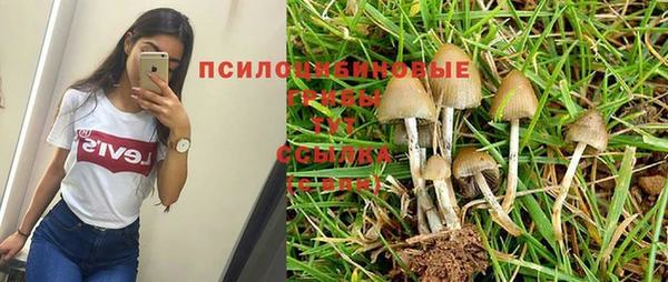 каннабис Зеленокумск
