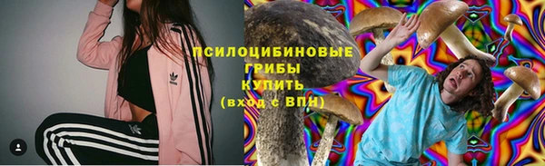 индика Инсар