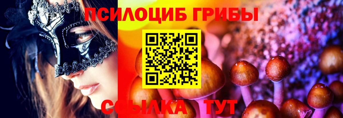 Галлюциногенные грибы Magic Shrooms  Галлюциногенные грибы Psilocybine cubensis  Вход с VPN  Похвистнево 